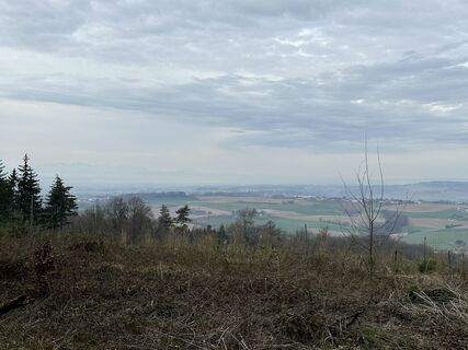 Foto från Babs Holz under resans gång