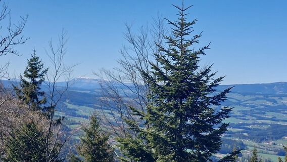 Foto von velisabeth entlang der Tour