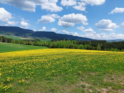 Foto von Schmitzberger Hans entlang der Tour