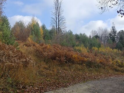 Foto de Sabine a lo largo del recorrido
