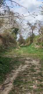 Foto de I Breitler60 a lo largo del recorrido