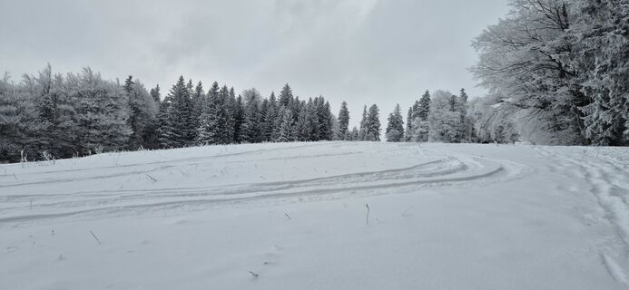 Foto von Hari Schrittwieser entlang der Tour
