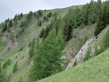 Photo de Wolfgang Wigand le long du parcours