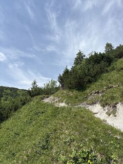 Fotografia z Heinz Sperl na trase