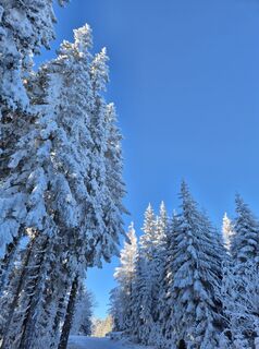 Foto de Patrick Unger a lo largo del recorrido