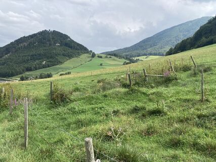 Foto von E F entlang der Tour