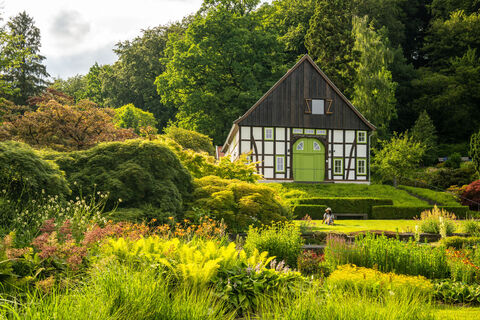 Bielefeld-Botanischer Garten-Teutoburger-Wald-Tourismus-D-Ketz-097-CC-BY-SA.jpg