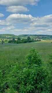Fotografia z János Matus na trase