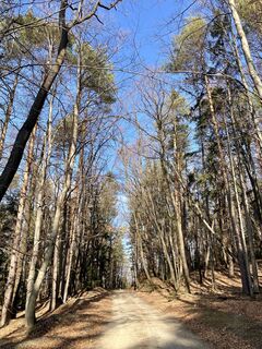 Foto van CT langs de tour