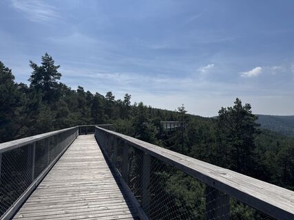 Fotografija s spletne strani Tyx De na poti