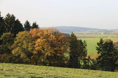 Herbst in Medebach-Berge