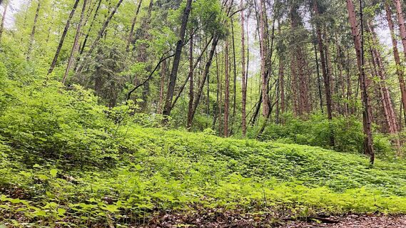 Fotografia z Robert Gerard na trase