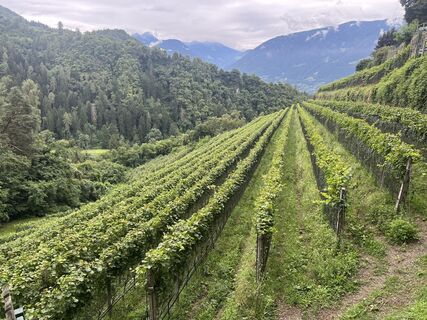 Foto von Andre Loeser entlang der Tour