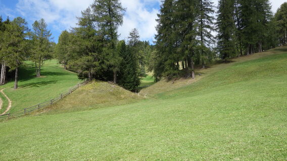 Über die Almwiese zum Zirmersteig