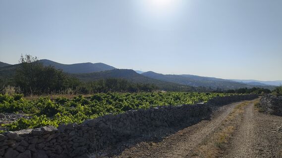 Photo de WilliSt le long du parcours