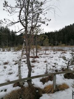 Fotografia z Dagmar Hofer na trase