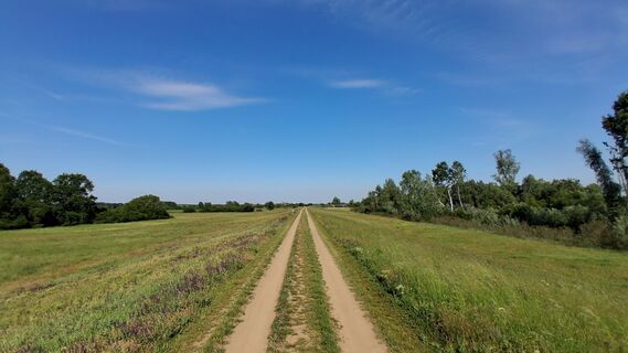 Zemljevid