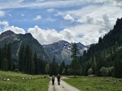 Foto von Grieshofer Gerlinde entlang der Tour