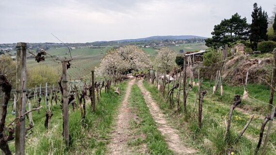 Fotografija s spletne strani Peter Froihofer na poti