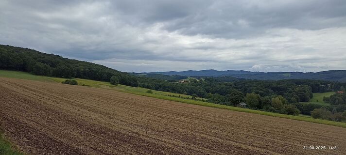 Fotografia z Walter Köllner na trase