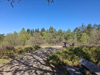 Fotografie z nordbergschnecke na trase