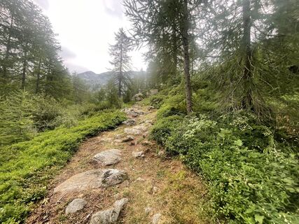Photo de Thierry Ador le long du parcours