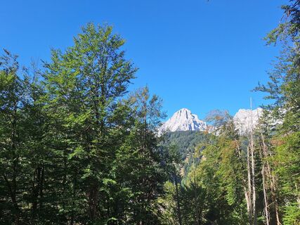 Fotografija s spletne strani Vít Zemánek na poti