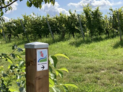 Wein- und Wiesenweg Minfeld-Freckenfeld