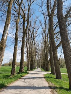 Foto von Felix entlang der Tour