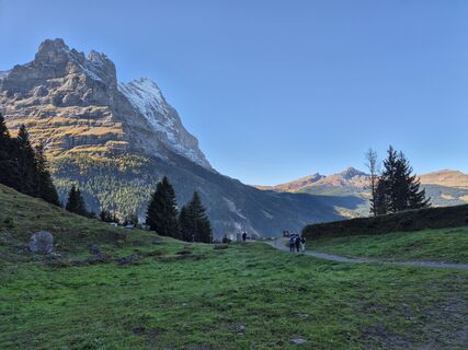 Fotografia z cgass na trase
