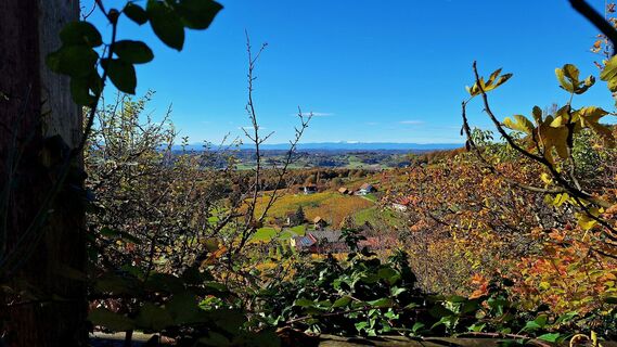Fotó a Susi Puhl honlapról a túra során