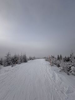 Foto de Martina Řezáčová a lo largo del recorrido