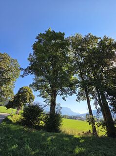 Photo de Marianna Glarcher le long du parcours