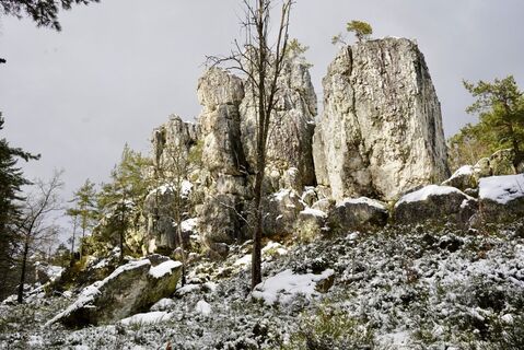 Fotografija s spletne strani Werner na poti