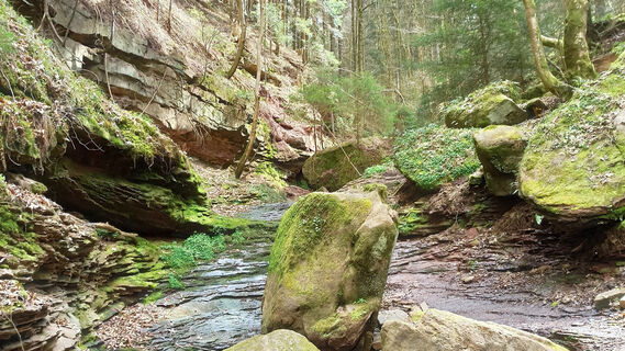 Die Wolfsschlucht liegt etwas versteckt und will entdeckt werden