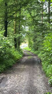 Foto von Voltzi entlang der Tour
