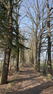 Photo de Otto Van Hooijdonk le long du parcours