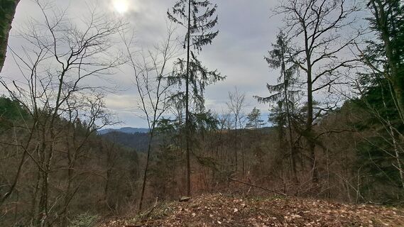 Fotografia z Anita Lunzer 1 na trase