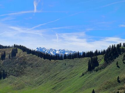Fotografie de la holgi61 de-a lungul turului