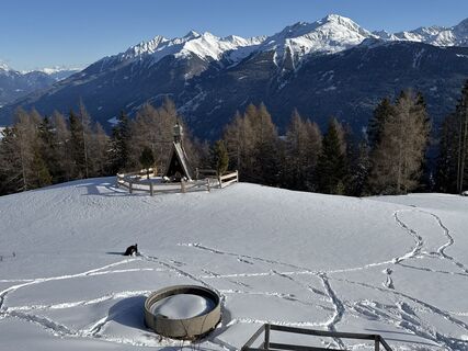 Foto von Grizzli entlang der Tour