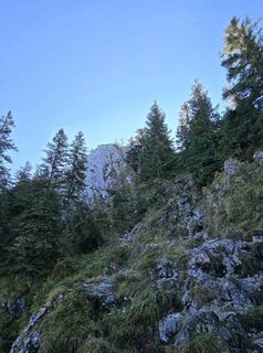 Zdjęcie z se_muck wzdłuż trasy