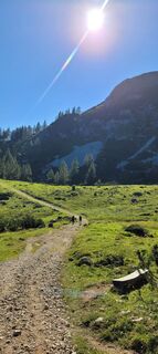 Fotografija s spletne strani Juliane Jarke na poti