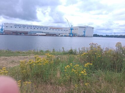 Foto von Wiffwagener entlang der Tour