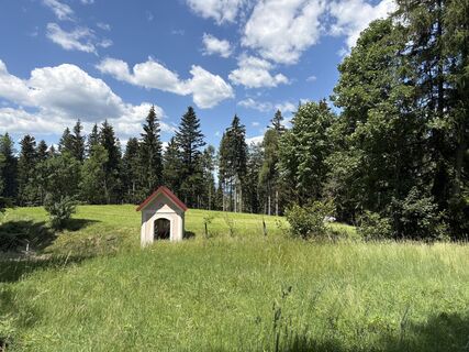 Foto de Dagmar Kutzenberger a lo largo del recorrido