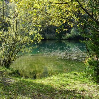 Blick auf den künstlich angelegten Nebenarm der Mur - die 350 Meter lange Fischaufstiegshilfe