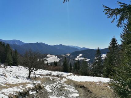 Foto de Žaneta Schelling a lo largo del recorrido
