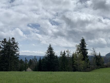 Foto de Kristina  1 a lo largo del recorrido