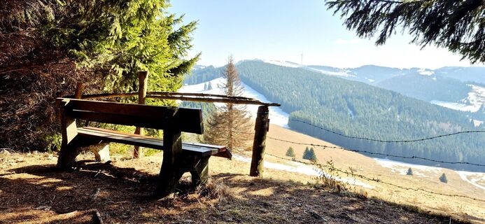 Foto von Sandy entlang der Tour