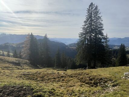 Foto van KlausM langs de tour
