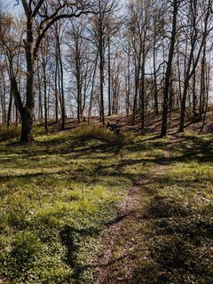 Waldlehrpfad Crailsheim